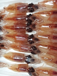 生のホタルイカの調理!-レシピのメイン写真