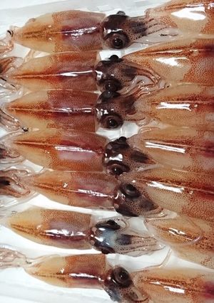 生のホタルイカの調理!-レシピのメイン写真
