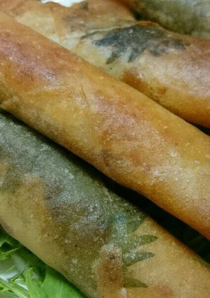 鶏ササミの梅しそチーズ春巻き-レシピのメイン写真