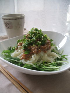 野菜たっぷり冷やしうどんを節つゆで・・・-レシピのメイン写真