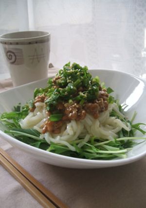 野菜たっぷり冷やしうどんを節つゆで・・・-レシピのメイン写真