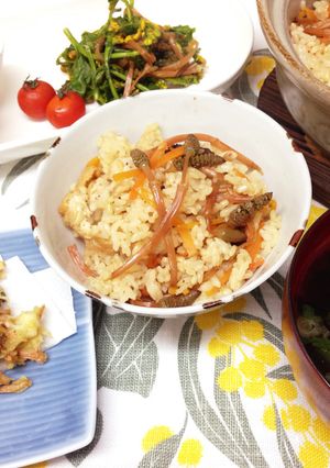 春の味覚 つくし尽くし-レシピのメイン写真