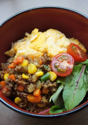 リメイク、そぼろの彩り丼-レシピのメイン写真