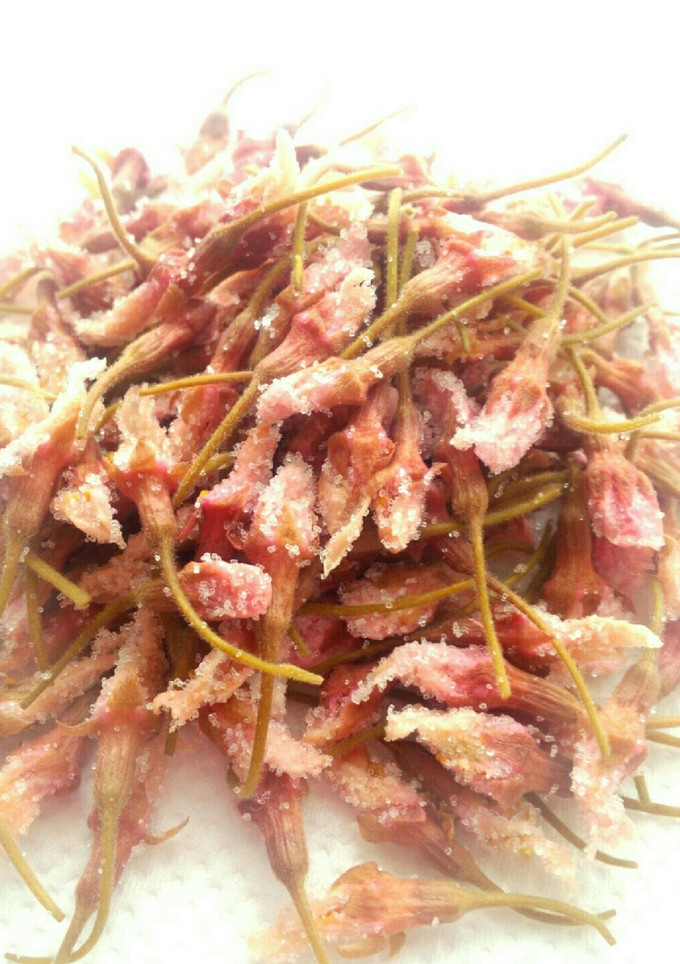 ソメイヨシノで…桜の塩漬け-レシピのメイン写真
