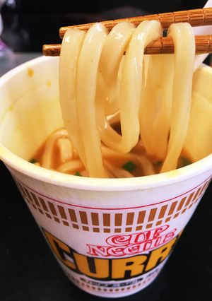 おかわりで☆究極の手抜きカレーうどん-レシピのメイン写真