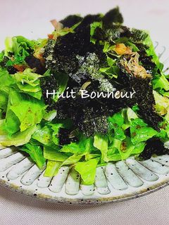 レタスと海苔の和風サラダ-レシピのメイン写真