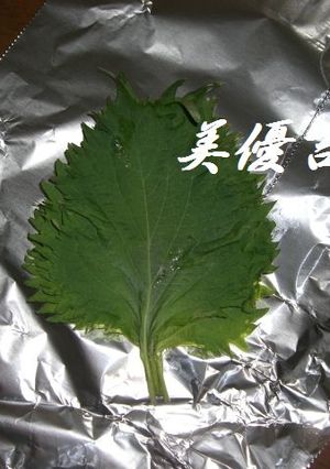 大葉の保存方-レシピのメイン写真