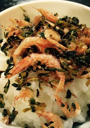 セロリの葉と桜海老のふりかけ-レシピのメイン写真