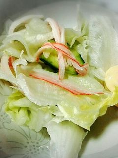 レタスとキュウリの簡単サラダ-レシピのメイン写真