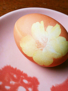 桜の花のゆで卵-レシピのメイン写真
