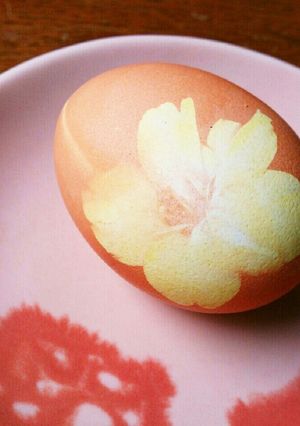 桜の花のゆで卵-レシピのメイン写真