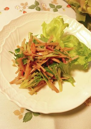 お好きな野菜で☆ごぼうサラダ-レシピのメイン写真