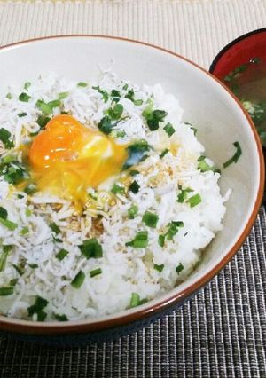 しらす丼-レシピのメイン写真