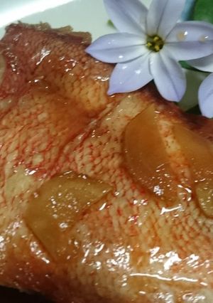 お年寄り絶賛シリーズ❗赤魚煮付け❗-レシピのメイン写真