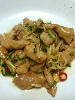 豚肉ともやしのピリ辛炒め-レシピのメイン写真
