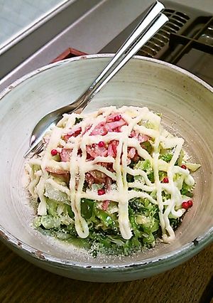 春キャベツシーザーサラダ-レシピのメイン写真