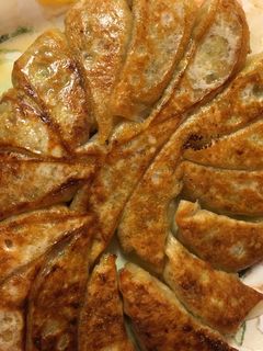 お肉なし!納豆キャベツ餃子-レシピのメイン写真