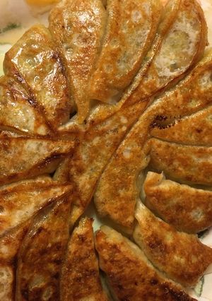 お肉なし！納豆キャベツ餃子-レシピのメイン写真
