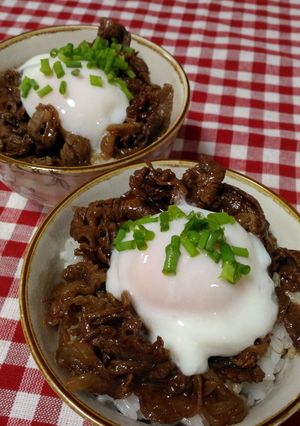 簡単☆肉飯-レシピのメイン写真