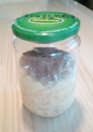 新タケノコ♣乳酸菌で減塩発酵漬物-レシピのメイン写真