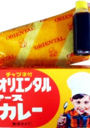 辛みのないマースカレー粉でダシ和風カレー-レシピのメイン写真