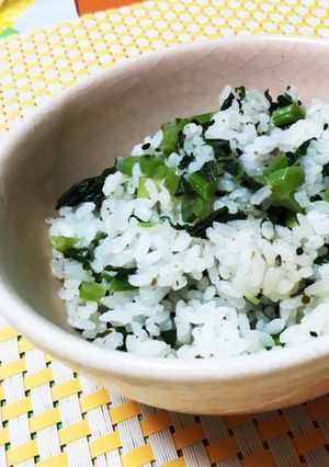 大根の菜っ葉で菜飯☆ごま塩で味付け簡単-レシピのメイン写真