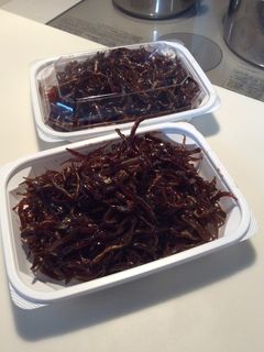 今が旬 いかなご くぎ煮-レシピのメイン写真