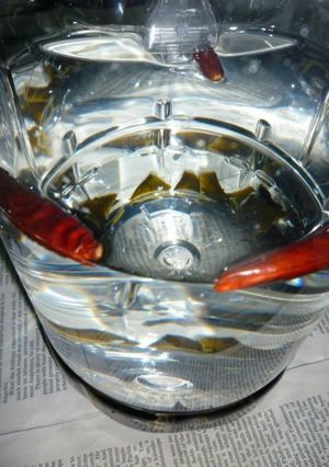 自家製根昆布焼酎～ガッテン版-レシピのメイン写真