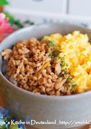 お弁当♡行楽に♡基本の鶏そぼろ丼-レシピのメイン写真