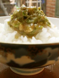 春♪ふき味噌(ふきのとう味噌)冷凍保存可-レシピのメイン写真