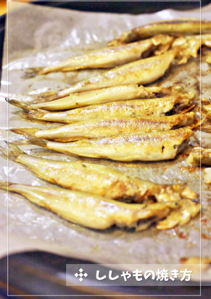 ちゃんと下処理♡ししゃもの焼き方-レシピのメイン写真