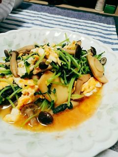 豆苗とキノコ◎味噌炒め-レシピのメイン写真
