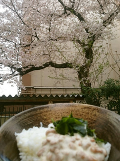グリーンナチュラル納豆-レシピのメイン写真