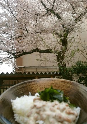 グリーンナチュラル納豆-レシピのメイン写真