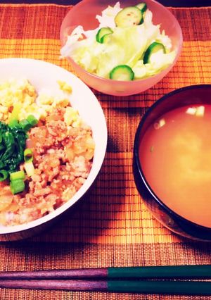 シンプル、美味しい、そぼろ丼♡-レシピのメイン写真