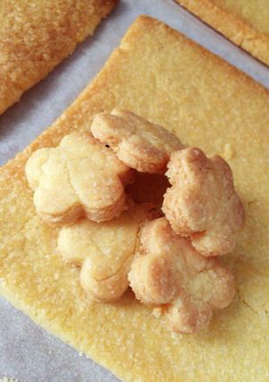 プレーンクッキー-レシピのメイン写真