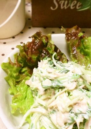 ぱぱっと！水菜とツナのサラダ-レシピのメイン写真