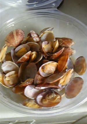 蒸せるんです、で簡単あさりの酒蒸し-レシピのメイン写真