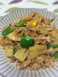 ✿大きな具のゴロゴロ青椒肉絲-レシピのメイン写真