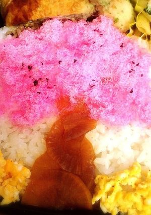 春ですね～♪桜の木ご飯♪-レシピのメイン写真