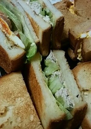 わが家のサンド達(ｻﾗﾁｷｻﾝﾄﾞ)編-レシピのメイン写真