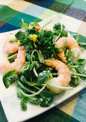菜の花と豆苗・エビの辛子マヨネーズ和え-レシピのメイン写真