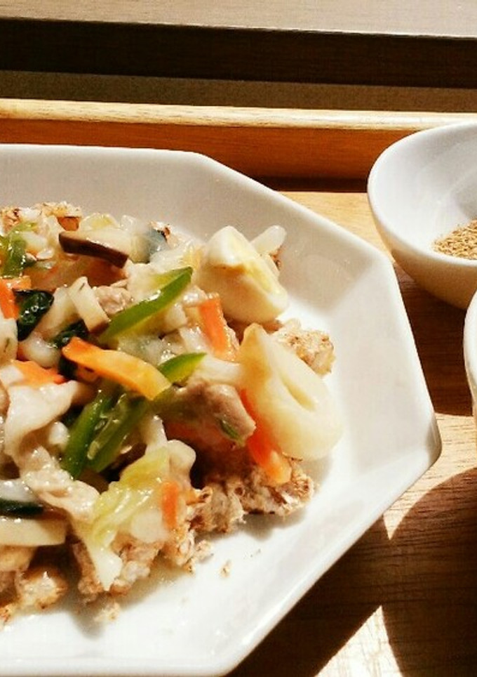 犬ご飯　おこげ風野菜の中華あんかけ-レシピのメイン写真