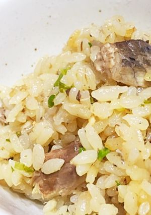 サバ缶で簡単美味しい炊き込みごはん♪-レシピのメイン写真