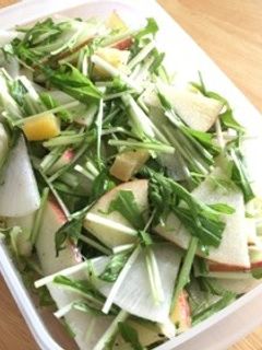 水菜と林檎のサラダ-レシピのメイン写真