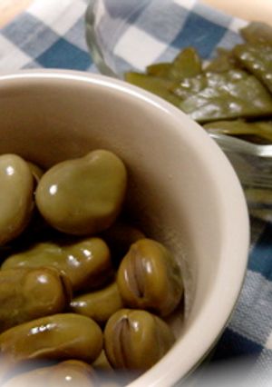 そらまめときぬさやの豆っこ煮-レシピのメイン写真