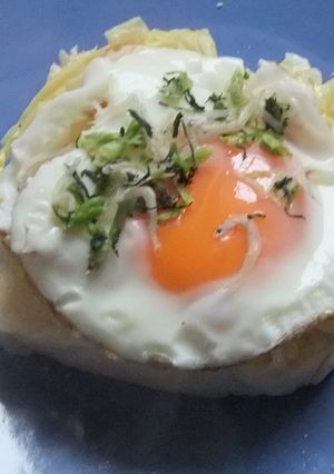 エコパン❀野沢菜ちりめんのオープンサンド-レシピのメイン写真