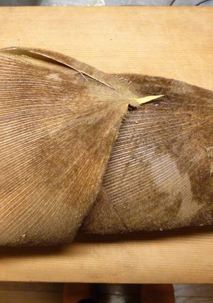 たけのこ茹で方☆米の研ぎ汁・鷹の爪不要-レシピのメイン写真