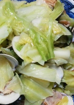 蛤とキャベツの酒蒸し-レシピのメイン写真