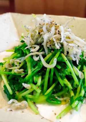 しらすが乗った豆苗のマリネ☆彡-レシピのメイン写真